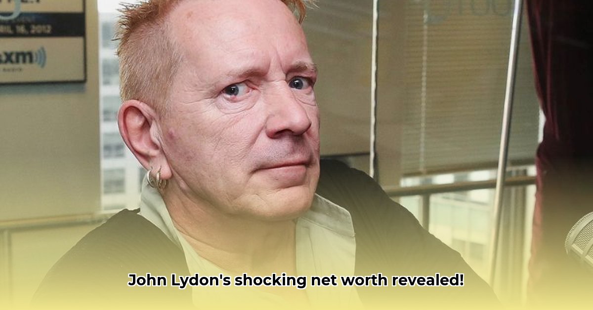 john-lydon-net-worth